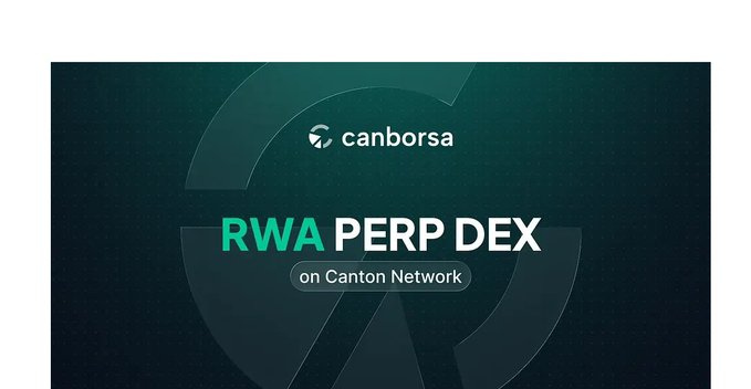 The image features a banner with text that reads "RWAs Perp Dec on Canton Network" written in green and white colors. The background of the image is black, which contrasts with the white text. The caption below the image explains that the focus should be on what's happening in the image rather than just looking at it as a whole.