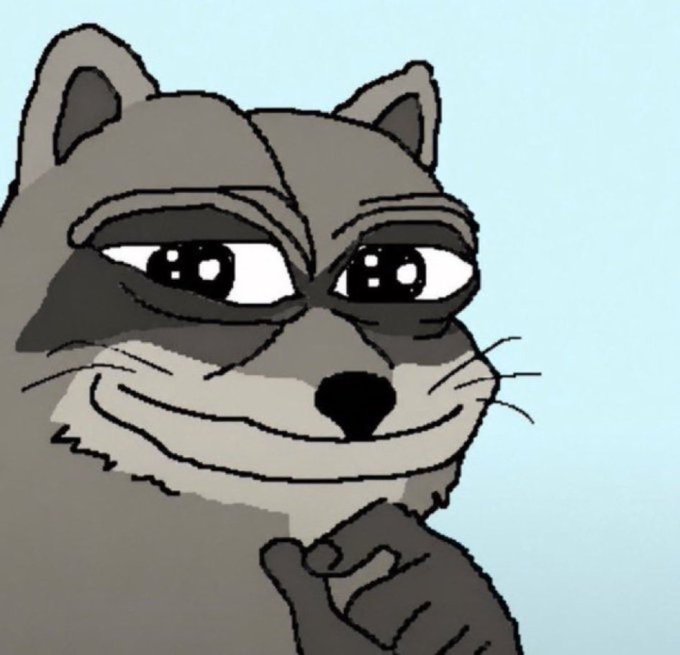 A cartoon raccoon with large, expressive eyes rests its chin on its paw in a thoughtful, slightly smug pose against a light blue background. The image evokes the "thinking" or "scheming" meme aesthetic, fitting the post's tone of plotting an early investment in the meme coin $jimothy before it potentially skyrockets.