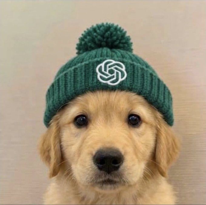 A golden retriever puppy wearing a dark green knit beanie with a pom-pom on top and a white interwoven circular logo on the front, looking at the camera against a plain background.