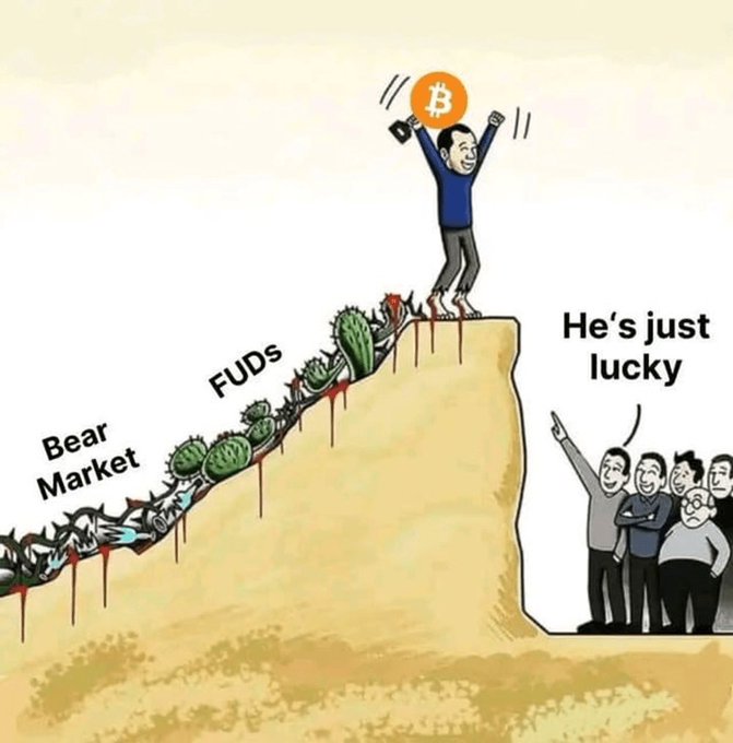 A cryptocurrency meme showing a person holding a Bitcoin aloft on a cliff above a 'Bear Market' of bloodied cacti labeled 'FUDs', while onlookers below remark 'He's just lucky'.
