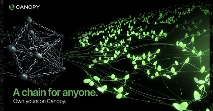 A Canopy promotional image with the tagline 'A chain for anyone. Own yours on Canopy.' showing a blockchain network visualization with glowing green leaves.