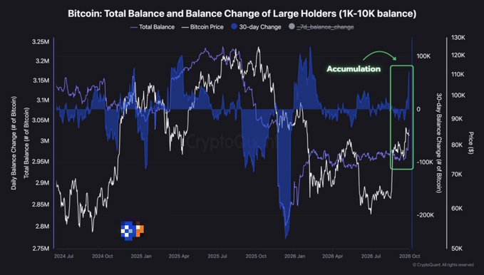A financial chart titled 'Bitcoin: Total Balance and Balance Change of Large Holders (1K-10K balance)' from CryptoQuant, showing total balance, Bitcoin price, and 30-day change data from mid-2024 to late 2026, with an 'Accumulation' annotation highlighting a recent period of increasing balances.