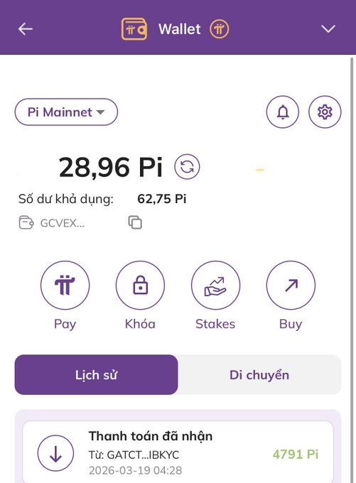 In the image, there's a phone screen displaying information about a wallet. The wallet has a large Pi value of 28,959 Pi displayed on its screen. This information is presented in both English and Vietnamese text. The phone also shows that the wallet was purchased at Týnghêu GATCY in Vietnam during the year 2019.
