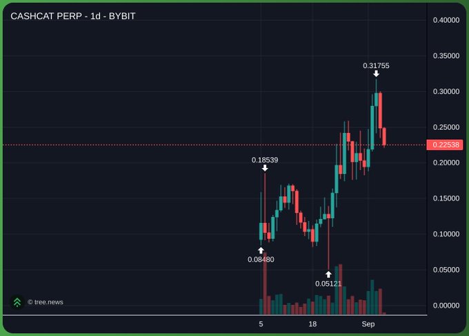 The image shows a 1-day candlestick chart of CASHCAT PERP on Bybit, highlighting a volatile price swing from a low of $0.05121 to a high of $0.31755 before pulling back to around $0.22535, which visually illustrates the "extractive event" mentioned in the post that is "topping local ecosystems" and prompting the author to consider selling off higher beta positions.