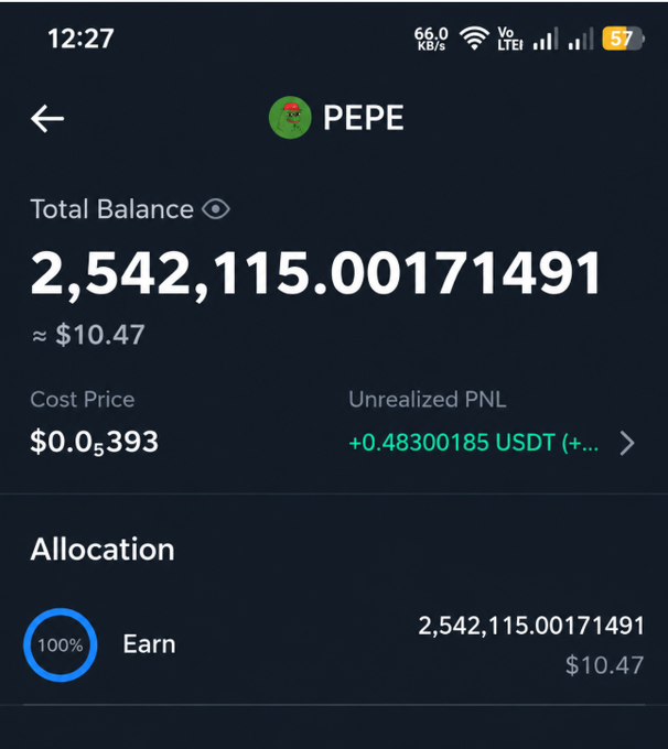 A cryptocurrency wallet screenshot showing a PEPE token balance of 2,542,115.00171491 tokens worth approximately $10.47, with a cost price of $0.000393 and an unrealized PNL of +0.48300185 USDT.