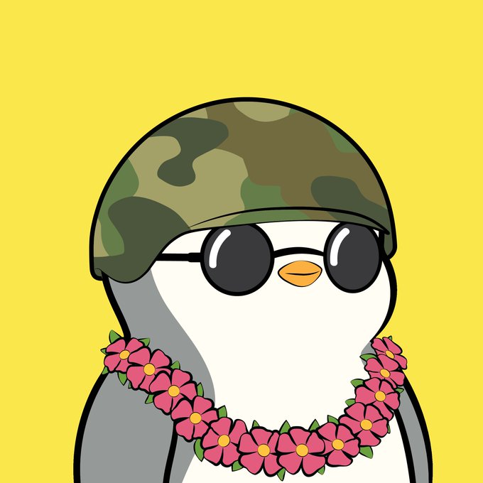 A cartoon penguin wearing a camouflage helmet, round sunglasses, and a pink flower lei, set against a yellow background.