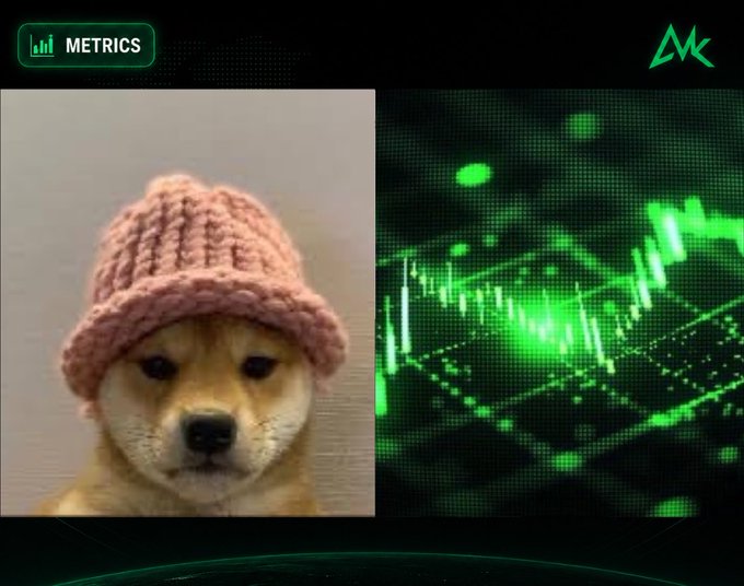 A thumbnail with a 'METRICS' label showing a Shiba Inu dog wearing a pink knitted hat next to a green financial chart.