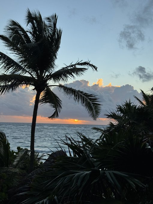 A sunset over the ocean with the sun partially hidden by clouds, framed by silhouetted palm trees in the foreground.