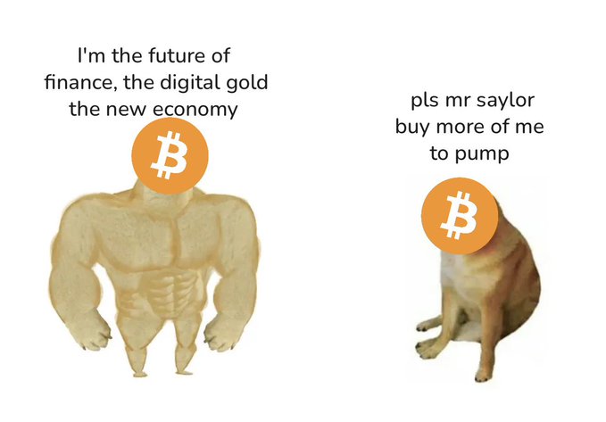 A meme contrasting two versions of Bitcoin: one portrayed as a muscular "Swole Doge" declaring itself "the future of finance, the digital gold, the new economy," and a smaller, weaker version labeled "pls mr saylor buy more of me to pump." The image humorously depicts the diminishing hype around BTC, mirroring the post's irony of Bitcoin reaching $60k in 2022 versus still being at $60k in 2026.