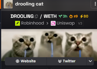 A screenshot from a trading platform showing the DROOLING/WETH pair listed as 'drooling cat' with icons indicating 3h, 9, and 80 metrics, available on Robinhood and Uniswap v3, featuring three cats drooling.