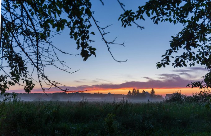 The image features a beautiful sunset over a field with trees, creating an idyllic scene. The sky is painted in shades of orange and blue, providing a stunning backdrop for the landscape below. In the foreground, there are some bushes that add depth to the composition. The photo appears to be taken from a low angle, which enhances the grandeur of the sunset and the vastness of the field.