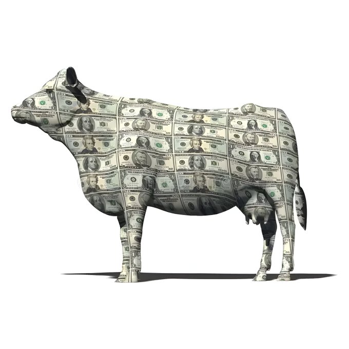A cow standing in profile, its entire body covered in a pattern of US $100 bills featuring Benjamin Franklin, against a white background.
