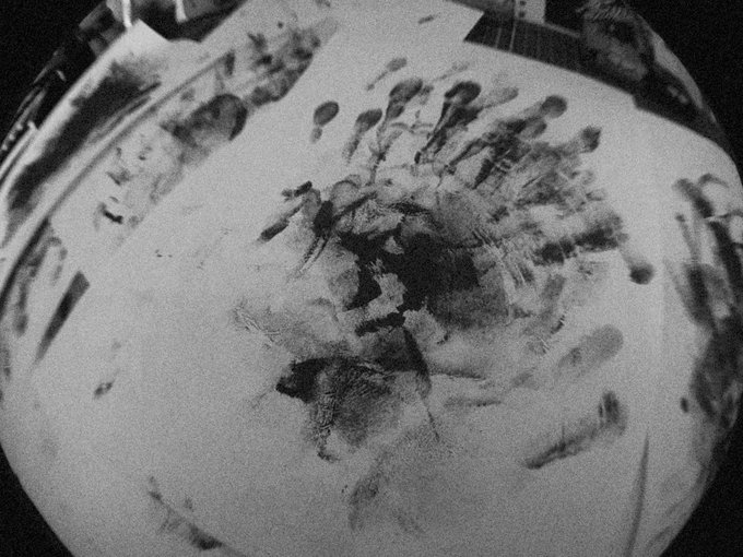 A black and white image of a sphere featuring distorted, reflected imagery that appears to show a small animal or figure within the abstract reflections.