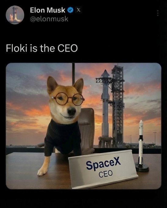 The image shows an X (formerly Twitter) post from Elon Musk (@elonmusk) reading "Floki is the CEO," featuring a Shiba Inu dog wearing glasses and a black turtleneck sitting at a desk with a "SpaceX CEO" nameplate, with a rocket and launch pad visible in the background against a sunset sky. The post playfully positions the Floki meme coin mascot as the head of SpaceX, tying into the $FLOKI ticker highlighted in the caption.
