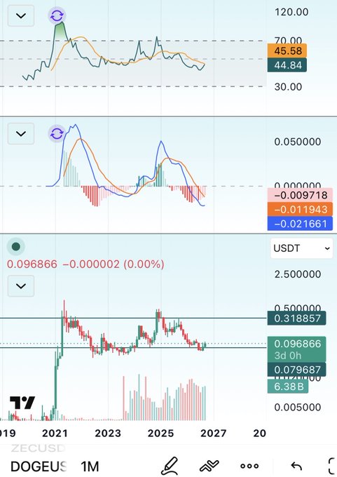 A trading chart interface from TradingView (TV) shows price charts for ZECUSD and DOGEUS with various technical indicators, volume bars, and timestamps spanning from 2019 to 2027.