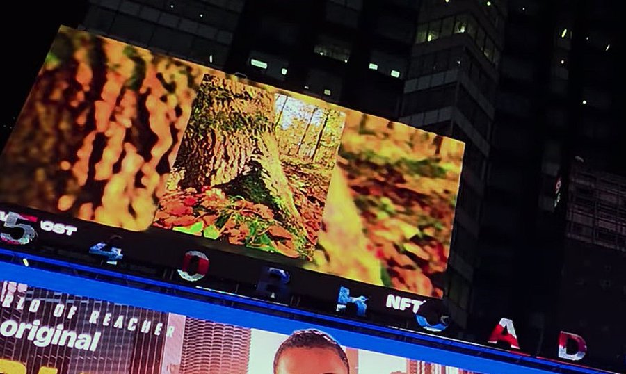 A nighttime photograph of a large digital billboard displaying a forest scene with a tree trunk, autumn leaves, and the visible text 'OST', 'WORK NFT', and 'original' on the lower section.