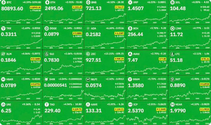 A cryptocurrency price dashboard displays major coins in green (indicating gains), with BTC leading at $80,893.60 (+4.19%), followed by ETH at $2,495.06 (+3.91%), BNB at $721.13 (+4.10%), and SOL at $104.48 (+4.00%), among others including XRP, TRX, DOGE, ADA, BCH, LINK, XLM, SUI, ZEC, AVAX, LTC, HBAR, SHIB, WLFI, GRAM, DOT, UNI, TAO, AAVE, ICP, and NEAR. The image visually reinforces the post's claim about BTC reaching 81K and the broader market rallying, which is squeezing short positions and fueling liquidations across the crypto space.