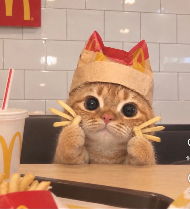 AI-generated kitten wearing a McDonald's paper crown and holding french fries at a McDonald's table with a drink and fries tray.