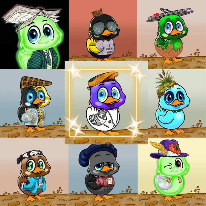 A collage of nine cartoon-style duck characters in various colorful designs and costumes, with the central purple duck wearing a beret highlighted by a sparkling frame.