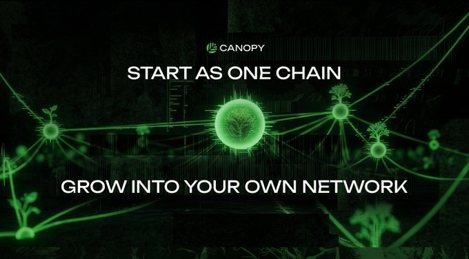 A dark, atmospheric promotional image for Canopy with the text 'START AS ONE CHAIN, GROW INTO YOUR OWN NETWORK,' featuring glowing green connected nodes and plant imagery.