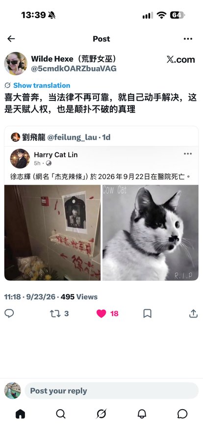 A screenshot of an X (formerly Twitter) post by 'Wilde Hexe (荒野女巫)' discussing a cat named Harry Cat Lin that passed away on September 22, 2026, showing photos of a memorial and the cat.