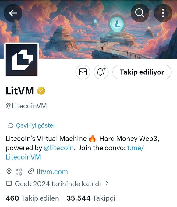 The image features a social media post about Litecoin that includes a link to the Litecoin website. The post has a white background with black text, making it easy for users to read and understand. It also contains a small image of a mountain landscape, adding visual interest to the post. The main content of the post is related to Litecoin, discussing its features and benefits, as well as the potential risks associated with investing in it.
