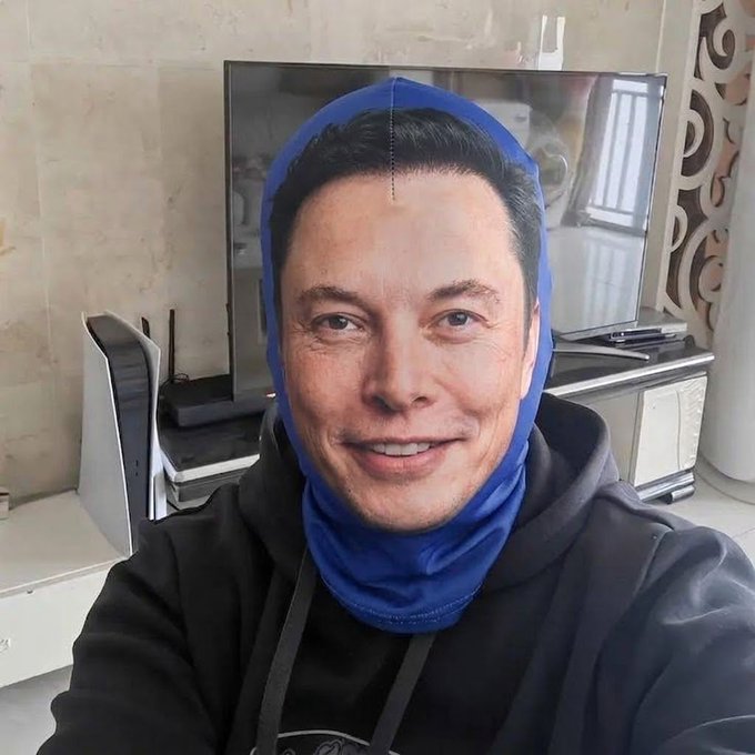 A person wearing a black hoodie with Elon Musk's smiling face printed on a blue balaclava-style head covering, sitting indoors with a TV and gaming console in the background.