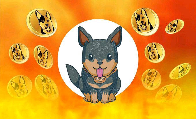 An illustration of a cartoon dog wearing a collar labeled "DROVER INU" in the center, surrounded by golden coins featuring a different dog logo against an orange background.