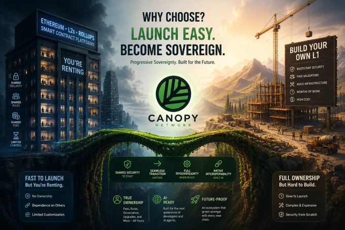 The image features a poster for Canopy Network, which promotes the idea of building your own blockchain network instead of relying on someone else's chain. The poster includes a green tree with a bridge over a river, symbolizing the concept of creating a new network from scratch. The text on the poster encourages people to "Why choose? Launch Easy. Become Sovereignty. Build Your Own L.E.A.N."