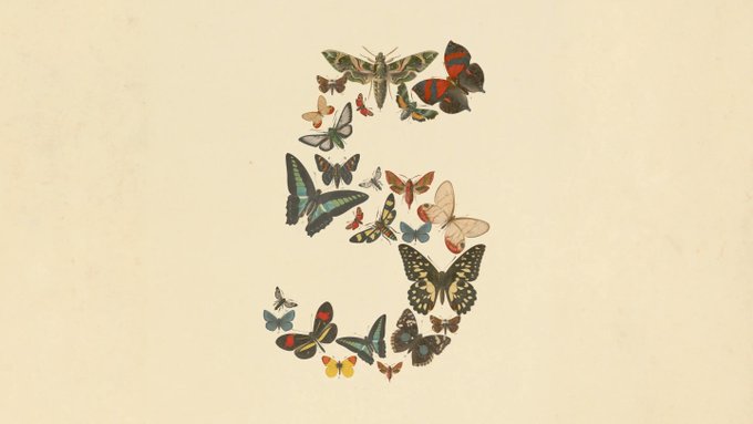 The image features an illustration of various butterflies arranged in the shape of the number 5, creating a visually appealing representation of the number five. The butterflies are depicted in different colors such as blue, green, red, yellow, and black, adding a vibrant touch to the design. The background is white, which further accentuates the colorful butterflies and makes them stand out.