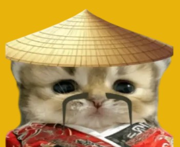 A fluffy cat wearing an oversized traditional straw hat and red garment poses stoically while holding a "RON" card. The dignified "wise sage" expression of the cat pairs with the post's joke, framing the cat as the philosophical "master" endorsing the new "MEMCHOIN" token in place of a typical meme coin.