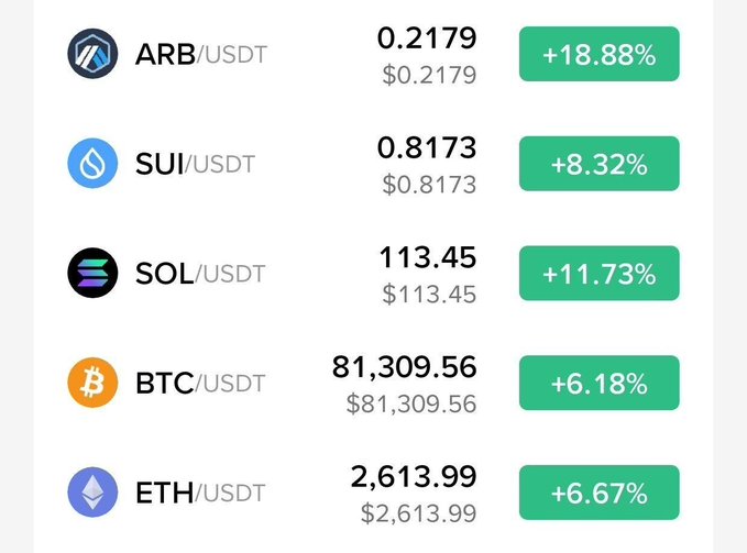 A cryptocurrency price list showing ARB/USDT at 0.2179 (+18.88%), SUI/USDT at 0.8173 (+8.32%), SOL/USDT at 113.45 (+11.73%), BTC/USDT at 81,309.56 (+6.18%), and ETH/USDT at 2,613.99 (+6.67%).