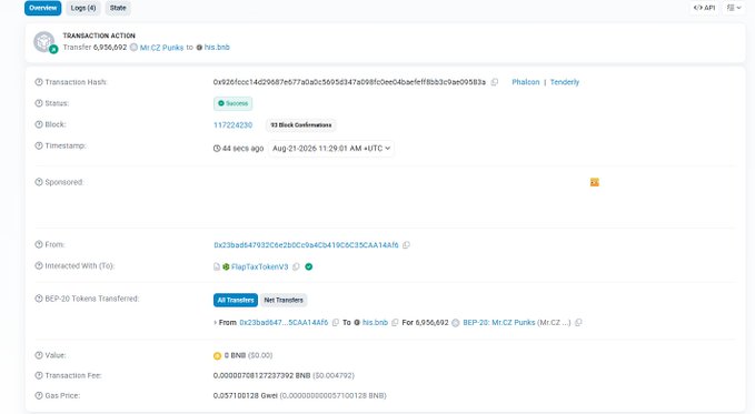 A BNB Smart Chain (BSC) transaction lookup page showing a successful 6,956,692 Mr.CZ Punks to his.bnb transfer, with status 'Success', 12 block confirmations, timestamp of Aug 21 2026, and a transaction fee of approximately $0.004792.