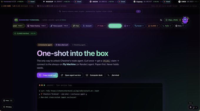 A desktop view of the Cheshire Terminal dashboard, with a header titled 'One-shot into the box' describing a one-time claim for a non-custodial agent service.