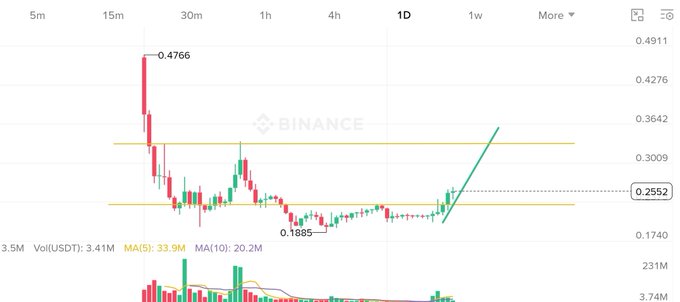 A cryptocurrency trading chart from Binance displays candlestick patterns with a green upward trend line, showing a peak of 0.4766, a low of 0.1885, and a current price around 0.2552 on a 1D timeframe.