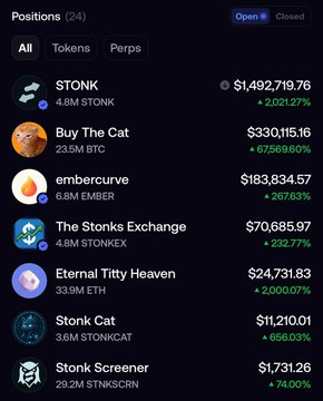 A cryptocurrency portfolio screenshot showing 24 open positions, with notable holdings including STONK ($1,492,719.76), Buy The Cat ($330,115.16), and embercurve ($183,834.57).