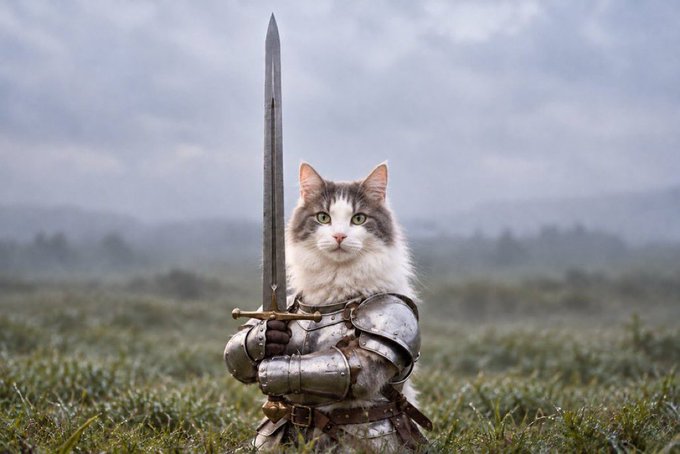 A fluffy gray and white cat wearing tiny medieval armor stands in a misty field, gripping a long upright sword with its paw in a knightly pose. The image playfully embodies the post's message about $GARY, framing the cat as a battle-ready "legend" ready to conquer Solana as a memecoin.