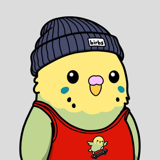 A cartoon illustration of a yellow chick/bird character wearing a blue beanie that says 'birbs' and a red shirt featuring a tiny chick on a skateboard.