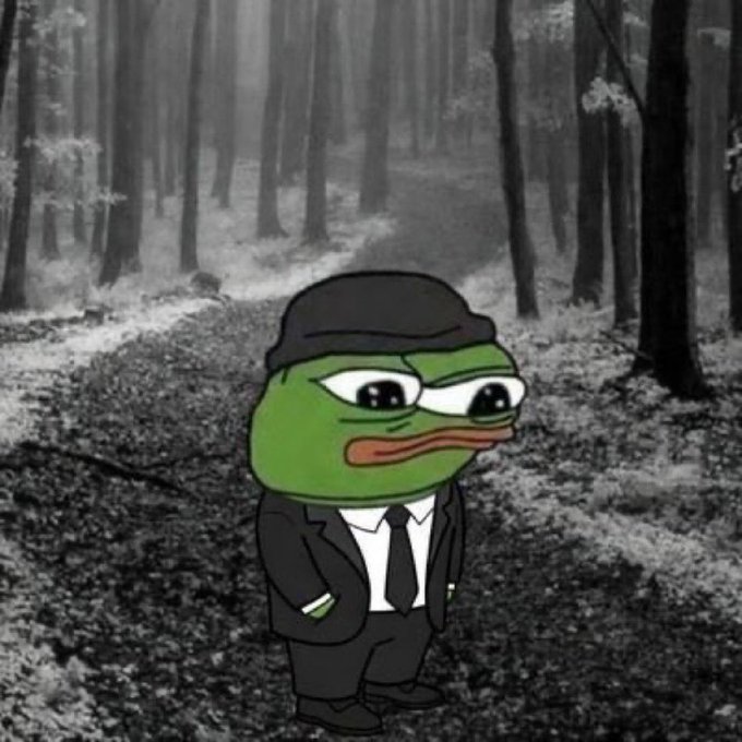A sad Pepe the Frog meme character wearing a black suit, tie, and beanie stands in a misty, black-and-white forest.