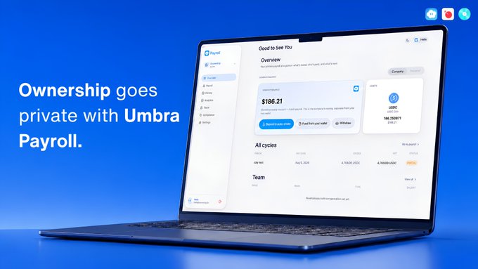 A marketing image showing a laptop displaying a 'Umbra Payroll' dashboard with a USDC wallet balance of 156.250671, accompanied by the text 'Ownership goes private with Umbra Payroll.'