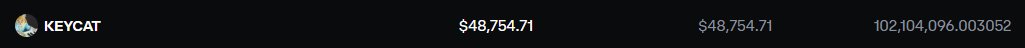 The image displays a KeyCat (KEYCAT) token card on what appears to be the Base network, showing a token address of "0x9a2a...5071" with both the current and entry price at $48,754.71 and a large value of 102,104,096,003,052, directly supporting the claim that owning 1% of the $KEYCAT token supply costs less than $50,000.