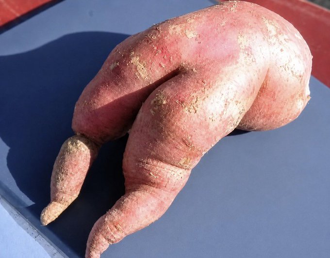 A misshapen sweet potato with a peculiar humanoid form resembling a pair of legs rests on a gray surface, humorously paired with the caption "Shorts the past 4 days:"—a visual metaphor suggesting the market's recent bearish streak has left investors feeling bent out of shape.