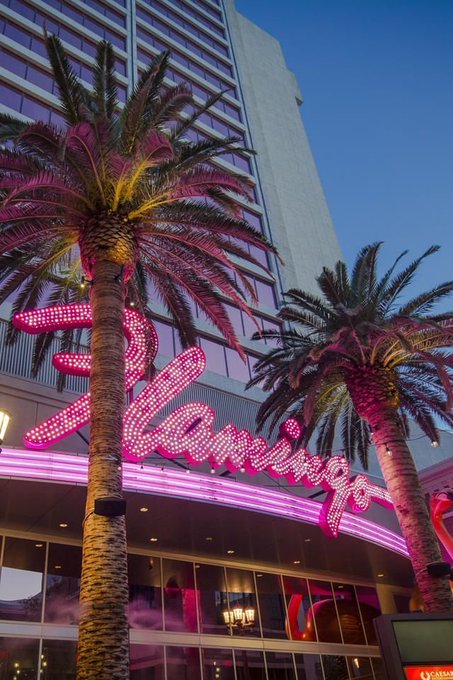 A nighttime photograph of the Flamingo Las Vegas hotel and casino, featuring its iconic pink neon signage flanked by illuminated palm trees against a twilight blue sky.