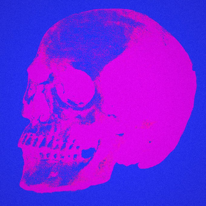 A pop-art style image displays a large pink and purple skull in profile against a solid blue background.
