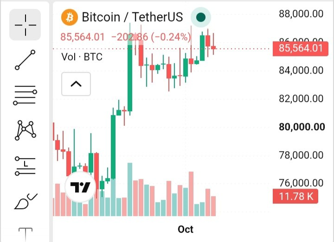 A Bitcoin/TetherUS trading chart shows BTC at 85,564.01 with a -0.24% change, displaying candlestick patterns on the "Oct" timeframe with a TradingView logo.