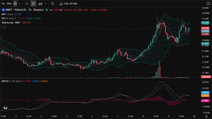 A TradingView 1-hour chart for MMMT/USDT on Binance showing price at 0.2222 (-0.45%), with Bollinger Bands, MA 9 at 0.2222, and MACD indicator below.