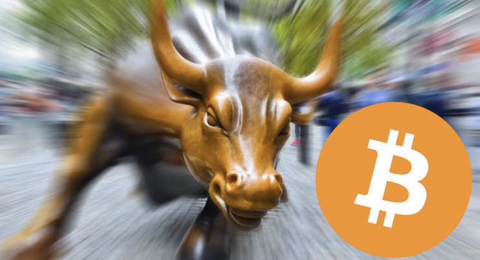 The iconic bronze Charging Bull statue of Wall Street is shown alongside the orange Bitcoin (₿) logo, visually symbolizing the unstoppable momentum of the newly declared Bitcoin bull market.