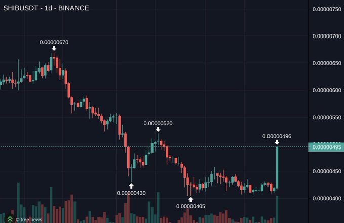 A candlestick chart of the SHIB/USDT trading pair on Binance shows the asset reaching a 1-day high of 0.00000496, accompanied by a significant volume spike that supports the daily gain described.