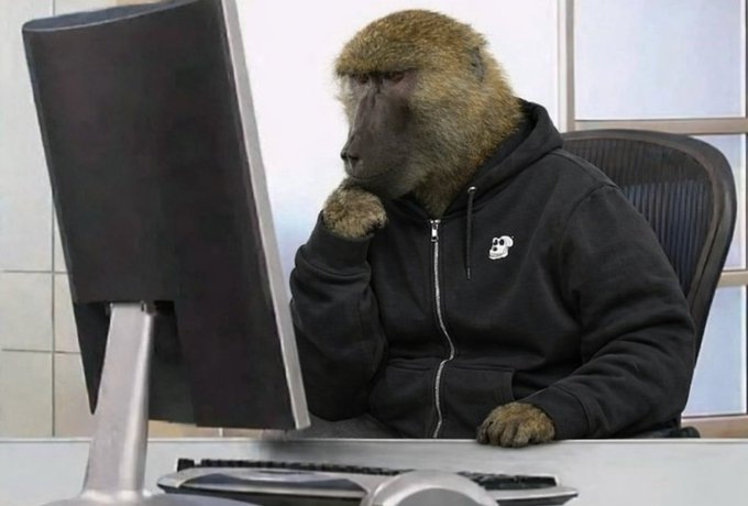A monkey in a hoodie sits in an office chair looking thoughtfully at a computer monitor, capturing the contemplative dilemma of a Bored Ape Yacht Club (#BAYC) NFT holder deliberating over a major purchase decision that "just doesn't fit my personality."