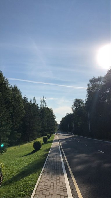 iced road with a white line, flanked by trees and bushes on either side, under a clear blue sky.